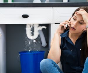 About Emergency plumbing pros Protivin, IA